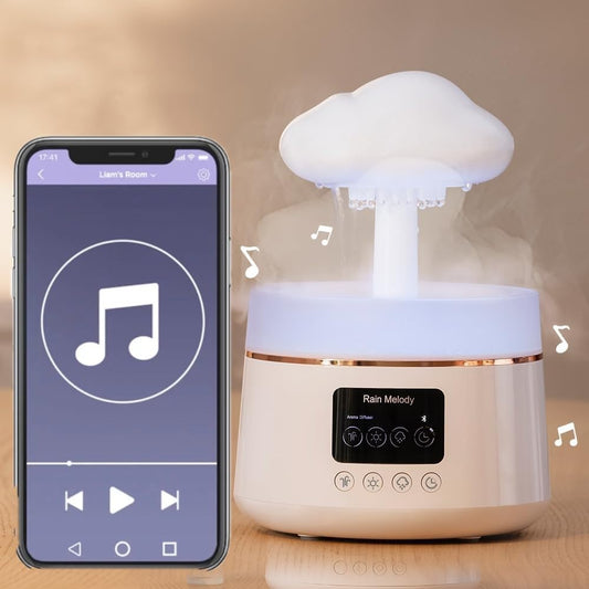 2in1 Rain cloud humidifier with bluetooth speaker